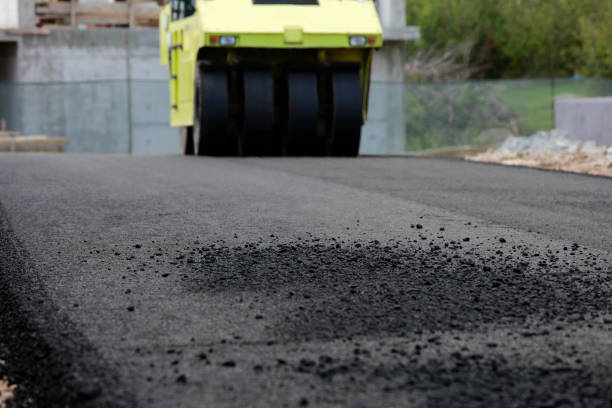 Best Affordable Driveway Pavers  in Apopka, FL