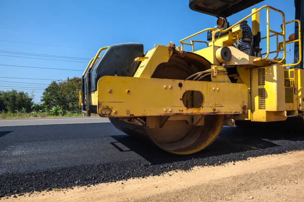 Best Local Driveway Pavers  in Apopka, FL